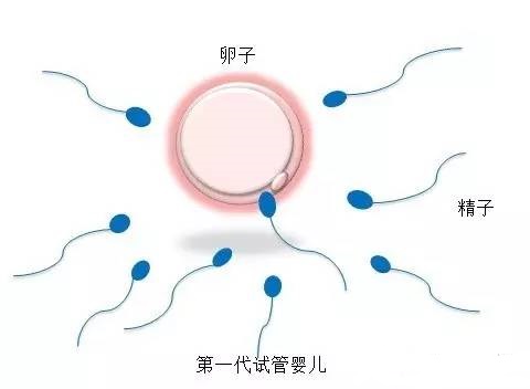环境